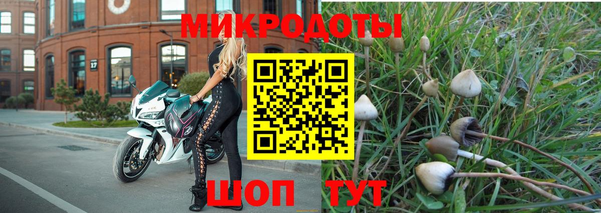 Галлюциногенные грибы GOLDEN TEACHER Каспийск