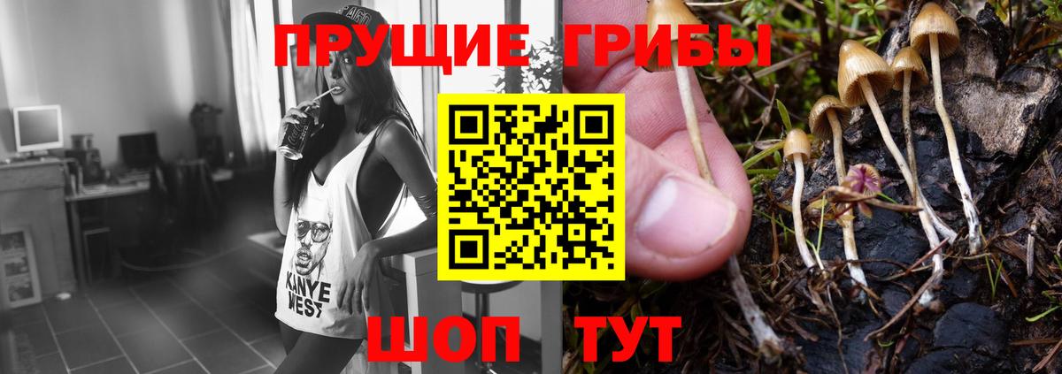 Псилоцибиновые грибы Magic Shrooms  Галлюциногенные грибы прущие грибы  Вход с VPN  Каспийск 
